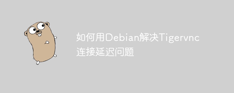 如何用Debian解决Tigervnc连接延迟问题