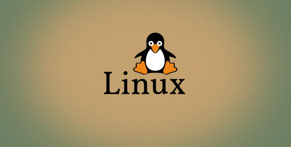 修复Linux下\