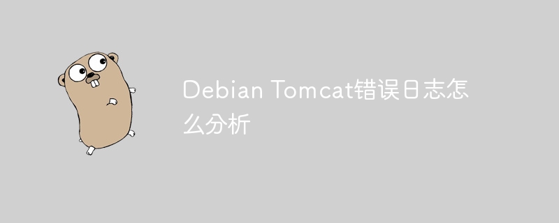 Debian Tomcat错误日志怎么分析