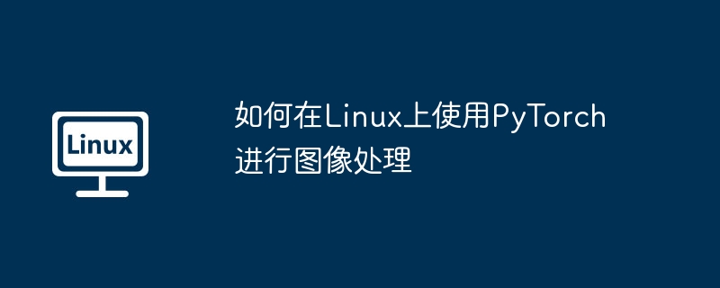 如何在Linux上使用PyTorch进行图像处理