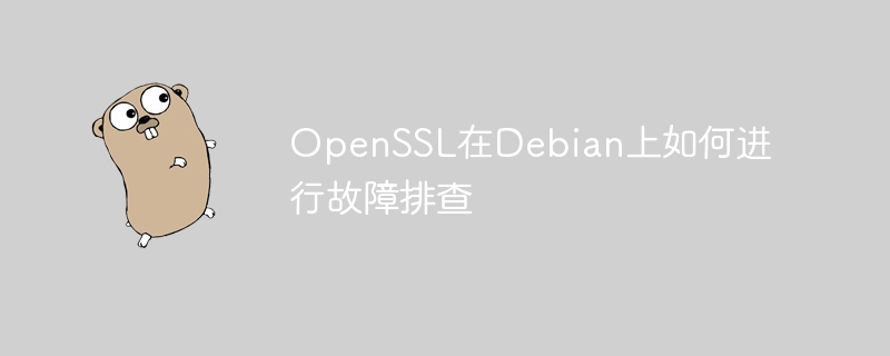 OpenSSL在Debian上如何进行故障排查