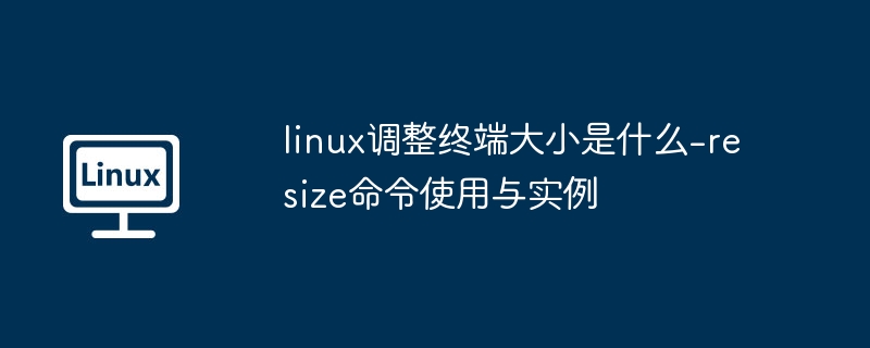 linux调整终端大小是什么-resize命令使用与实例