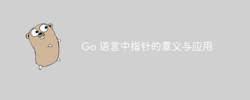 Go 语言中指针的意义与应用