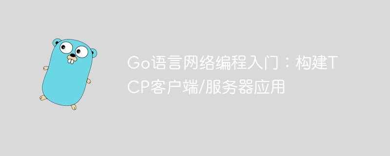 Go语言网络编程入门：构建TCP客户端/服务器应用