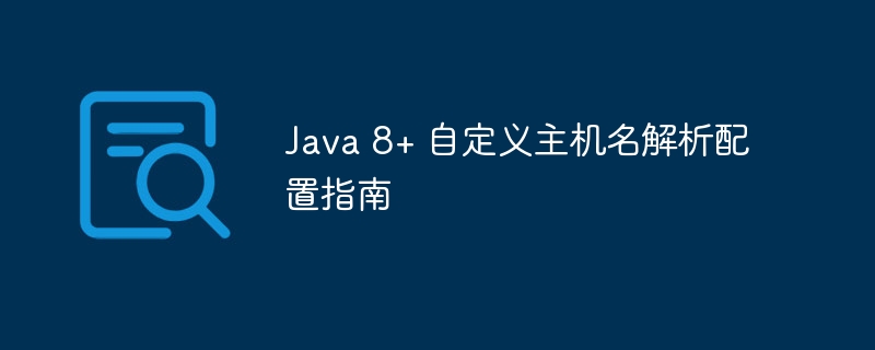 Java 8+ 自定义主机名解析配置指南
