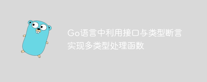 Go语言中利用接口与类型断言实现多类型处理函数
