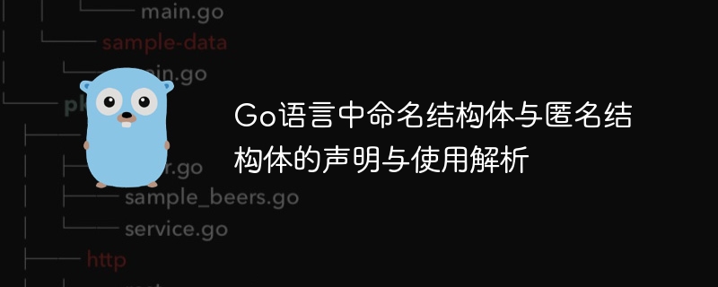 Go语言中命名结构体与匿名结构体的声明与使用解析

