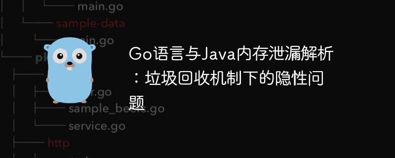 Go语言与Java内存泄漏解析：垃圾回收机制下的隐性问题

