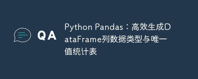 Python Pandas：高效生成DataFrame列数据类型与唯一值统计表