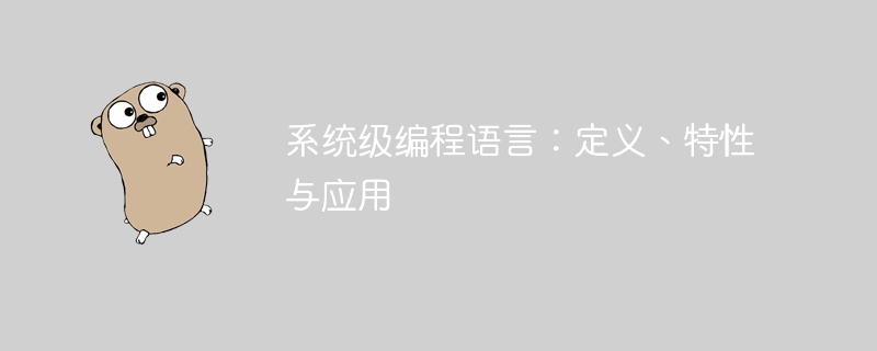系统级编程语言：定义、特性与应用