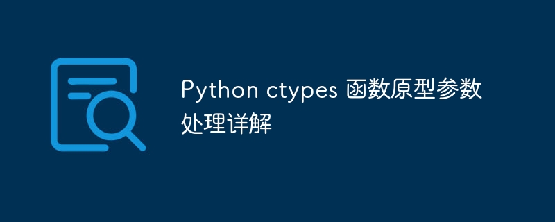 Python ctypes 函数原型参数处理详解
