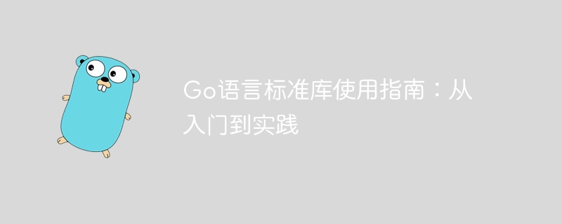 Go语言标准库使用指南：从入门到实践