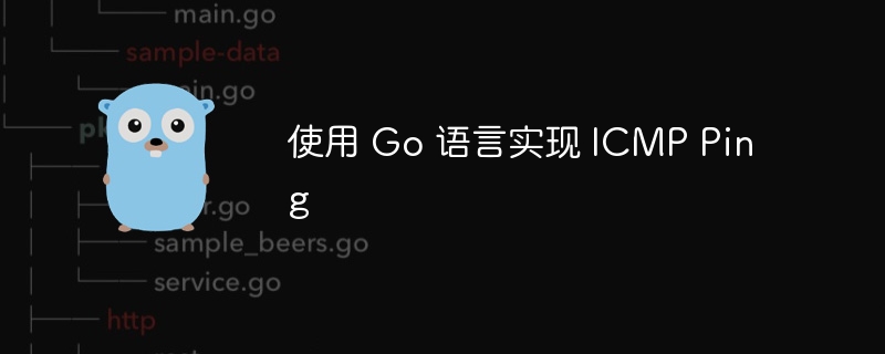 使用 Go 语言实现 ICMP Ping
