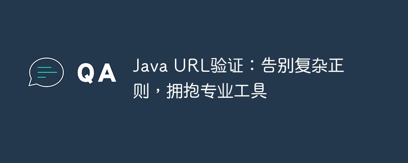 Java URL验证：告别复杂正则，拥抱专业工具