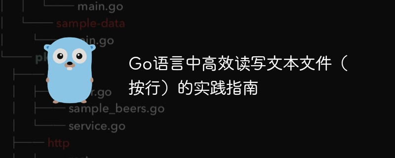 Go语言中高效读写文本文件（按行）的实践指南
