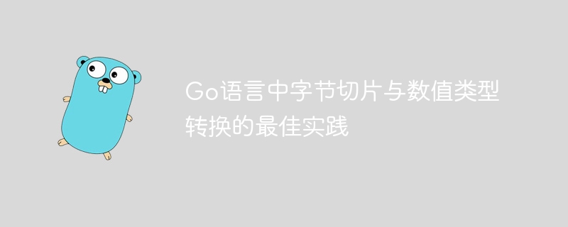 Go语言中字节切片与数值类型转换的最佳实践
