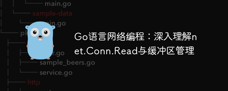 Go语言网络编程：深入理解net.Conn.Read与缓冲区管理
