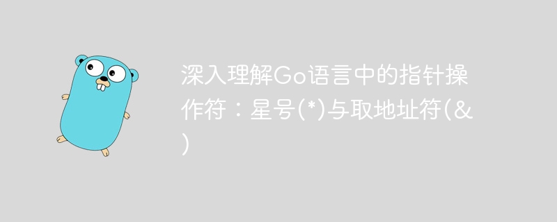 深入理解Go语言中的指针操作符：星号(*)与取地址符(&)