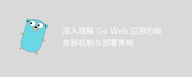 深入理解 Go Web 应用的服务器机制与部署策略
