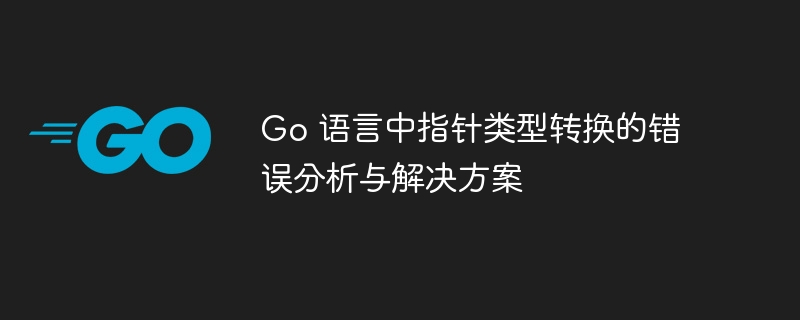 Go 语言中指针类型转换的错误分析与解决方案