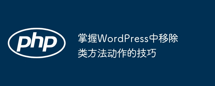 掌握WordPress中移除类方法动作的技巧
