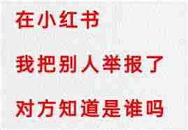 小红书举报别人别人能看到我举报吗