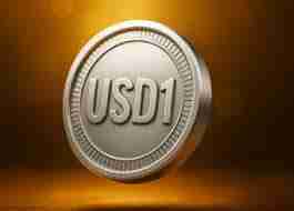 usd1是什么意思