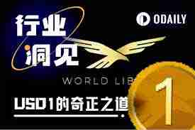 usd1是什么意思