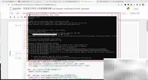PyTorch内核崩溃解决方法
