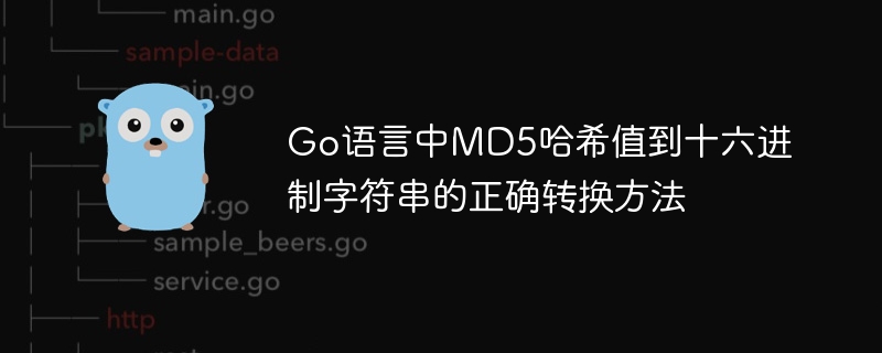 Go语言中MD5哈希值到十六进制字符串的正确转换方法
