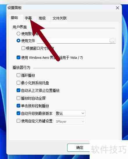 射手播放器字幕样式修改指南