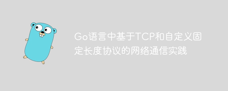 Go语言中基于TCP和自定义固定长度协议的网络通信实践
