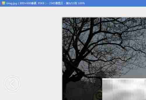 Picasa修改照片尺寸方法