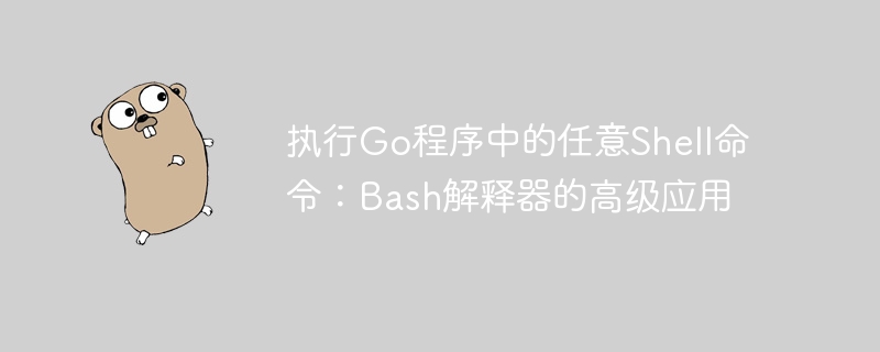 执行Go程序中的任意Shell命令：Bash解释器的高级应用
