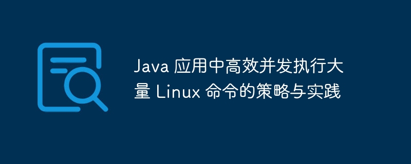 Java 应用中高效并发执行大量 Linux 命令的策略与实践