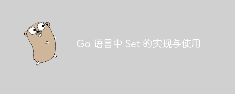 Go 语言中 Set 的实现与使用
