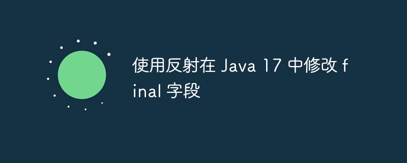 使用反射在 Java 17 中修改 final 字段