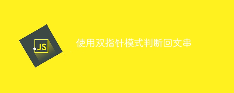 使用双指针模式判断回文串
