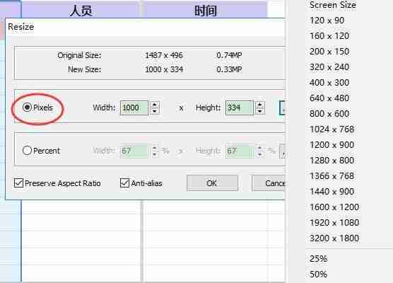 FastStone Capture怎么设置图片尺寸