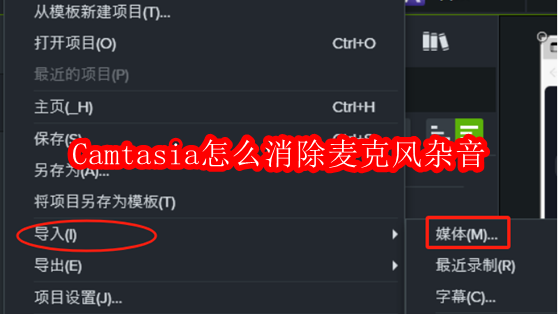 Camtasia怎么消除麦克风杂音