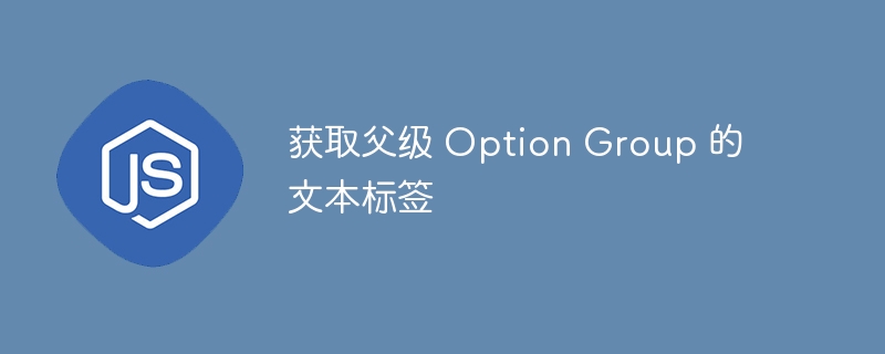 获取父级 Option Group 的文本标签