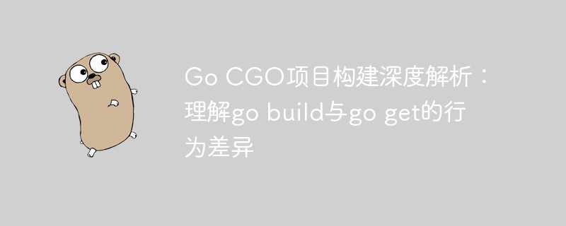 Go CGO项目构建深度解析：理解go build与go get的行为差异
