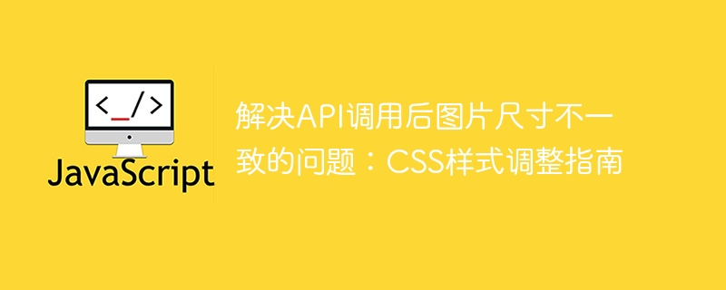 解决API调用后图片尺寸不一致的问题：CSS样式调整指南