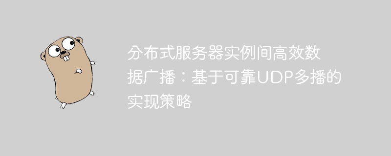 分布式服务器实例间高效数据广播：基于可靠UDP多播的实现策略
