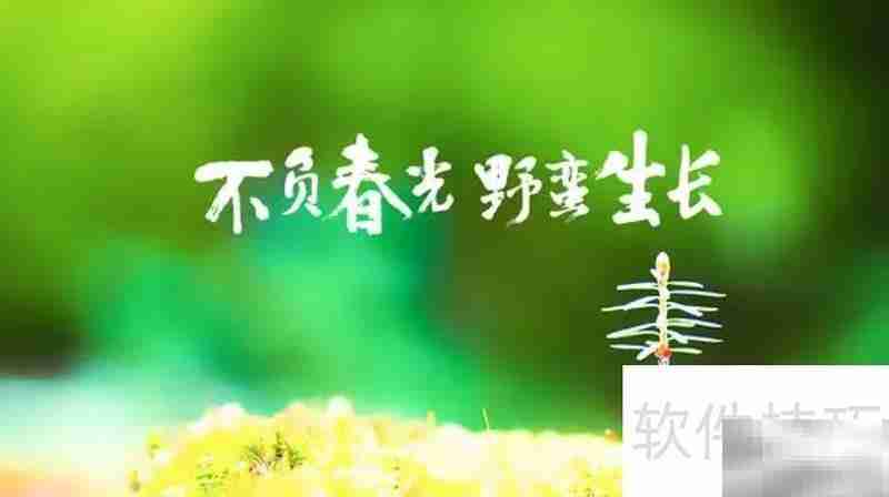 不负春光，邂逅最美时光