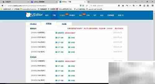 UEditor配置使用指南