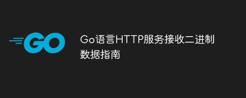 Go语言HTTP服务接收二进制数据指南
