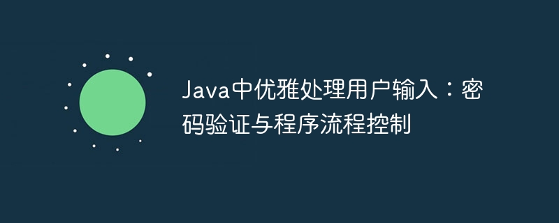 Java中优雅处理用户输入：密码验证与程序流程控制
