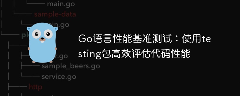 Go语言性能基准测试：使用testing包高效评估代码性能
