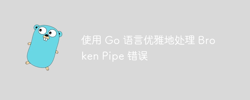 使用 Go 语言优雅地处理 Broken Pipe 错误